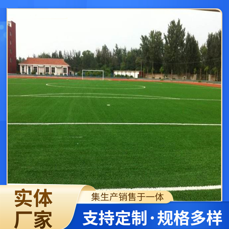 庆阳市EPDM颗粒人造草坪 - 推荐